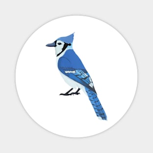 Blue Jay Magnet